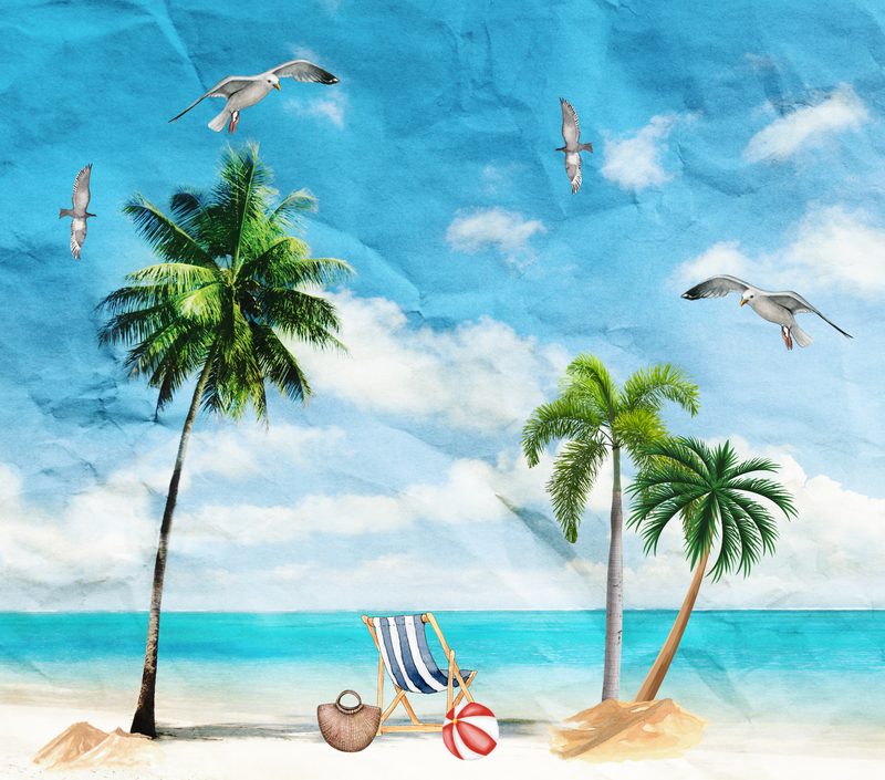 Beach / Ocean