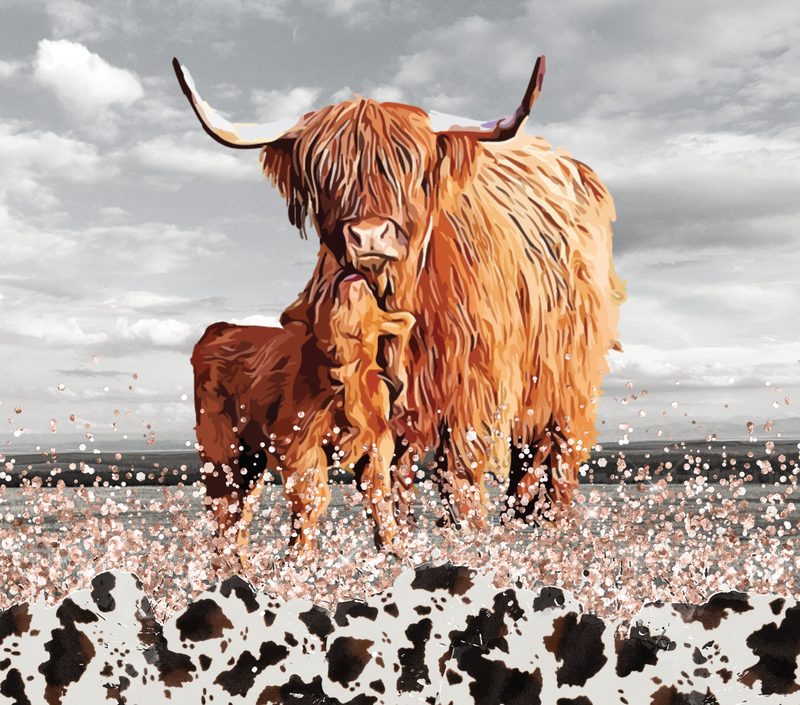 Nature / Animals