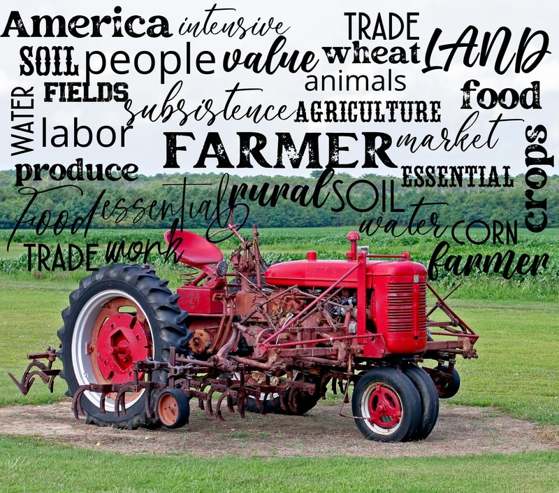 Farm